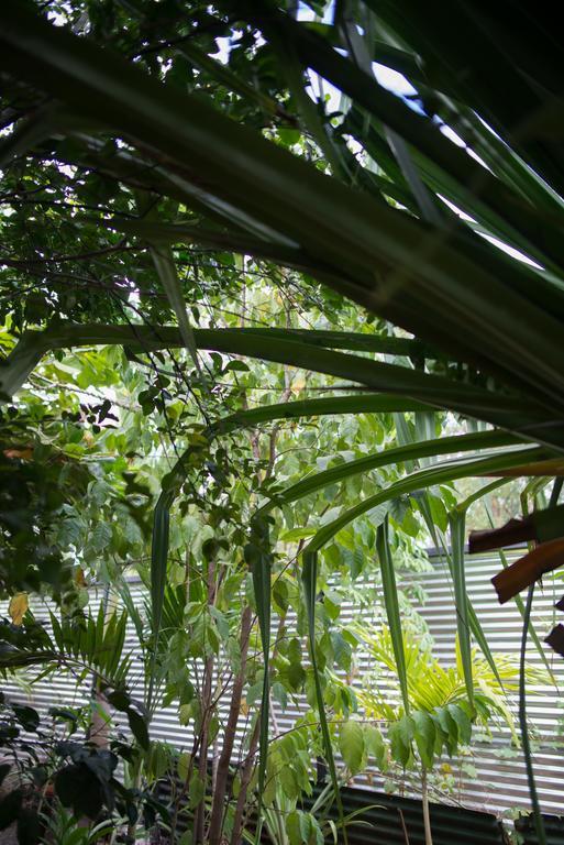 Hotel Tamarindo Sunshine Zewnętrze zdjęcie